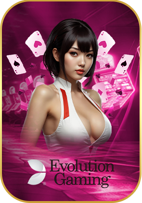 3. EVOLUTION